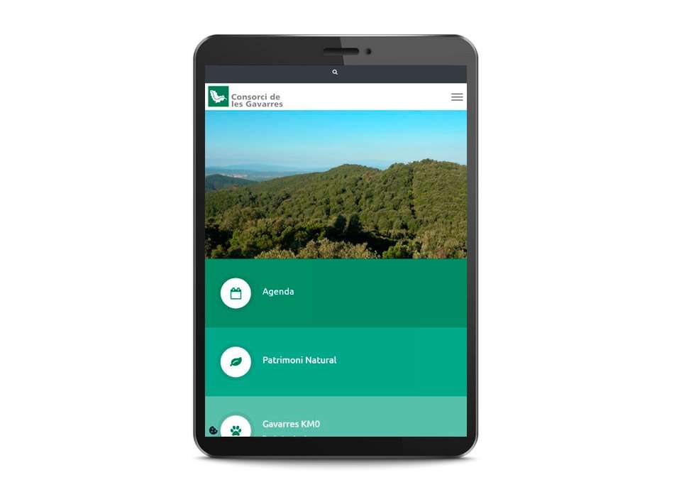 657-gavarres-tablet.jpg